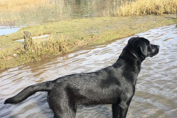 _Isla 9 months old (1)