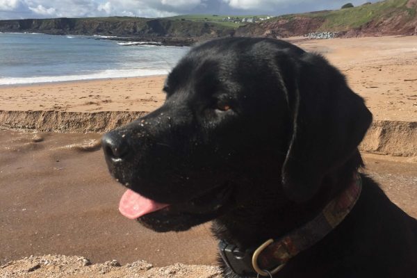 Kariba at South Milton Sands (1)